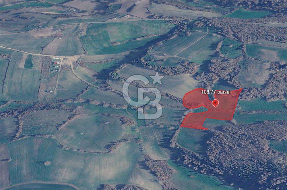 ÇATALCA YAZLIKKÖY'DE TEK TAPU SATILIK TARLA GÜÇLÜ YATIRIM