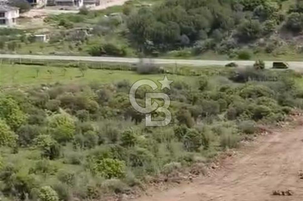 Dikili Esentepede 353 M² Yatırımlık Fırsat Kooperatif Hissesi