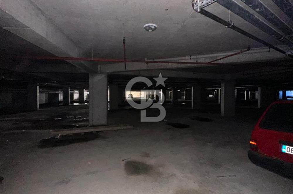 Viole Yaşamkent'te Kiralık 1+1 Daire