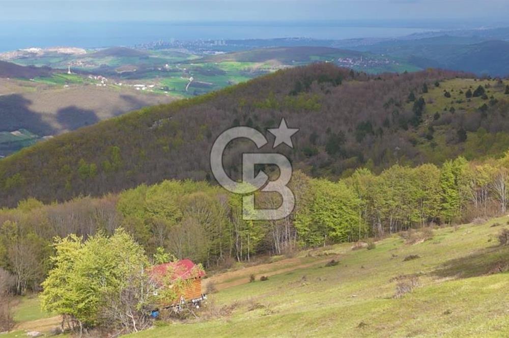 Samsun Atakum Akalan Mh. Yatırımlık Tarla