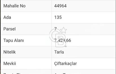 TEMELLİ ÇOKÖREN SATILIK TARLA