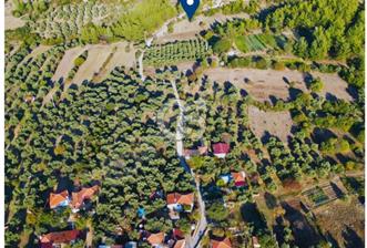 Milas Ulaş'ta Yatırıma Uygun, 54m Yol Cepheli 11.849m² Tarla - 4 - 362496