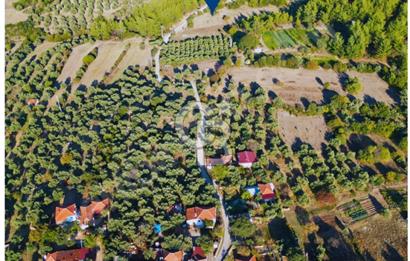 Milas Ulaş'ta Yatırıma Uygun, 54m Yol Cepheli 11.849m² Tarla