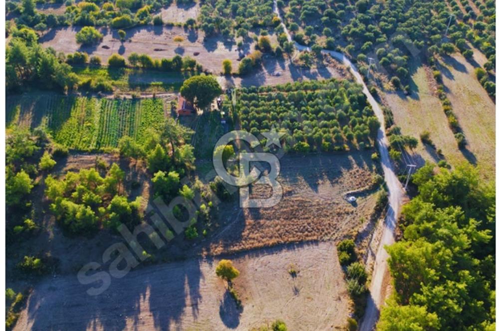 Milas Ulaş'ta Yatırıma Uygun, 54m Yol Cepheli 11.849m² Tarla