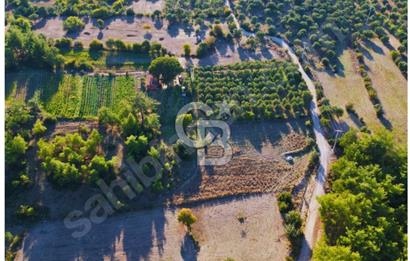 Milas Ulaş'ta Yatırıma Uygun, 54m Yol Cepheli 11.849m² Tarla
