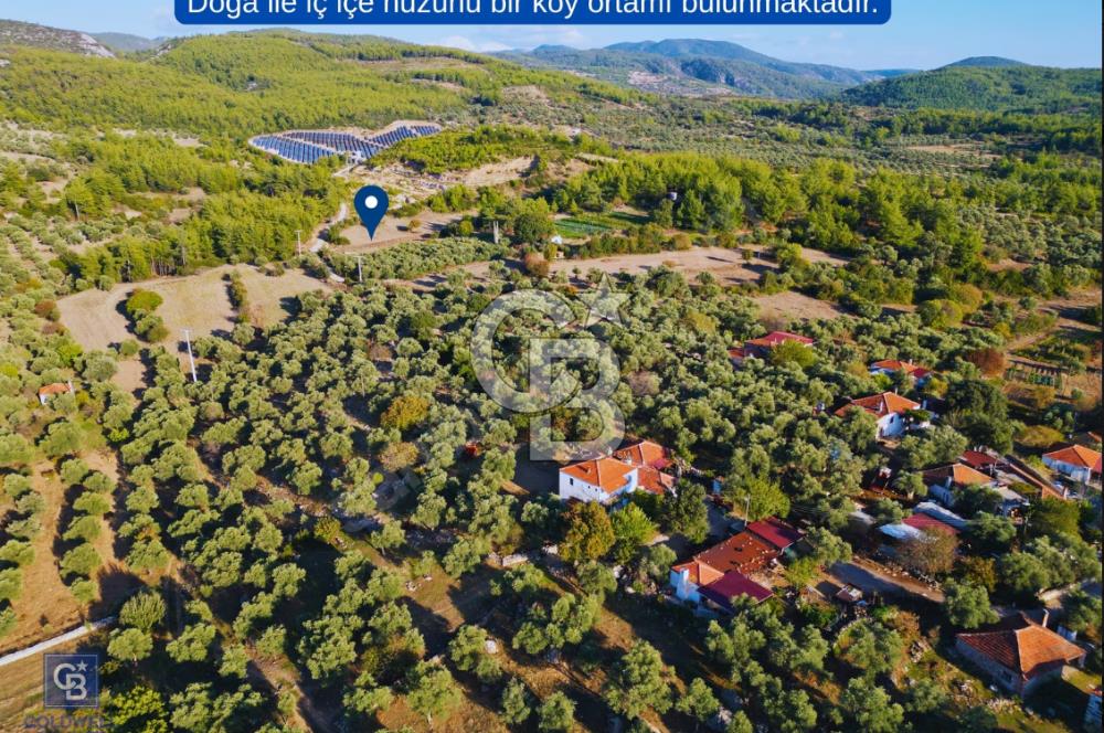 Milas Ulaş'ta Yatırıma Uygun, 54m Yol Cepheli 11.849m² Tarla
