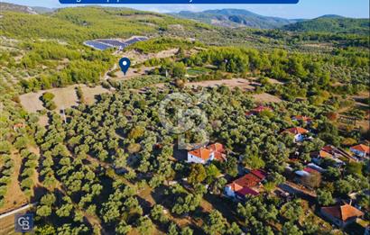 Milas Ulaş'ta Yatırıma Uygun, 54m Yol Cepheli 11.849m² Tarla
