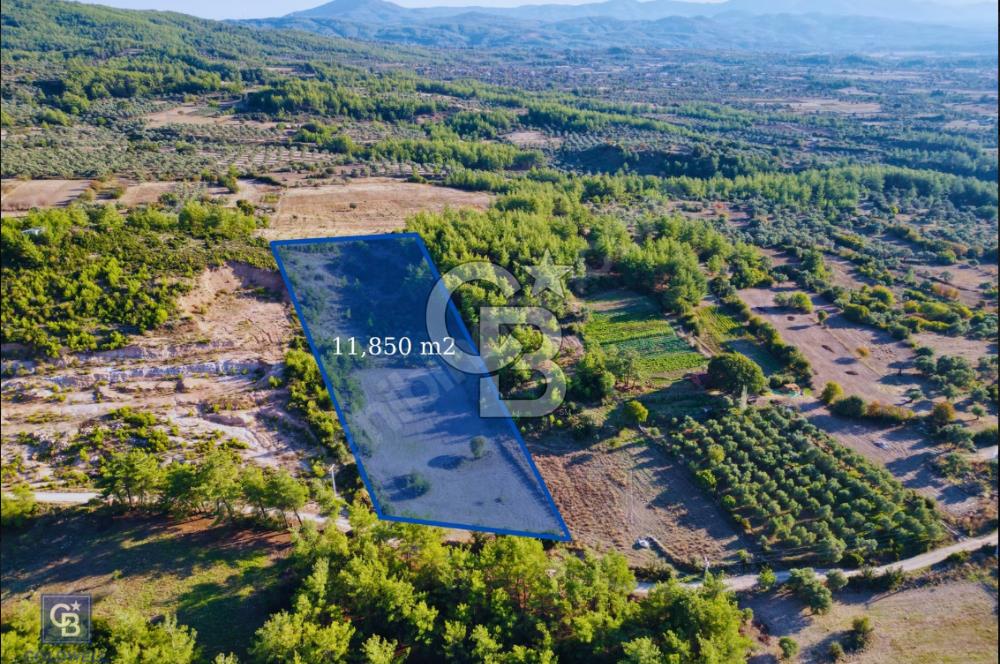 Milas Ulaş'ta Yatırıma Uygun, 54m Yol Cepheli 11.849m² Tarla