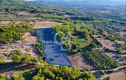 Milas Ulaş'ta Yatırıma Uygun, 54m Yol Cepheli 11.849m² Tarla