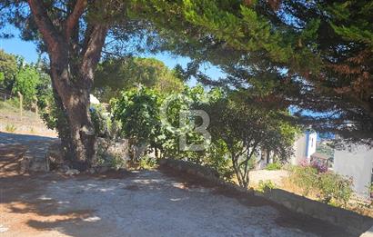 Bodrum Yalıkavak Satılık Villa
