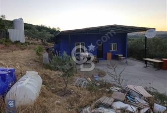 ALİAĞA HELVACI'DA ESKİ FOÇA YOLU YAKINI 4.675 M2 TARLA - 6 - 362544