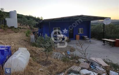 ALİAĞA HELVACI'DA ESKİ FOÇA YOLU YAKINI 4.675 M2 TARLA