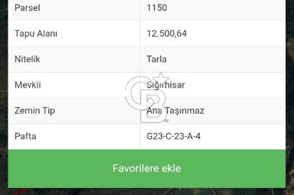 BURSA İZNİK ELMALIDA SATILIK TARLA