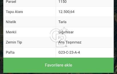 BURSA İZNİK ELMALIDA SATILIK TARLA