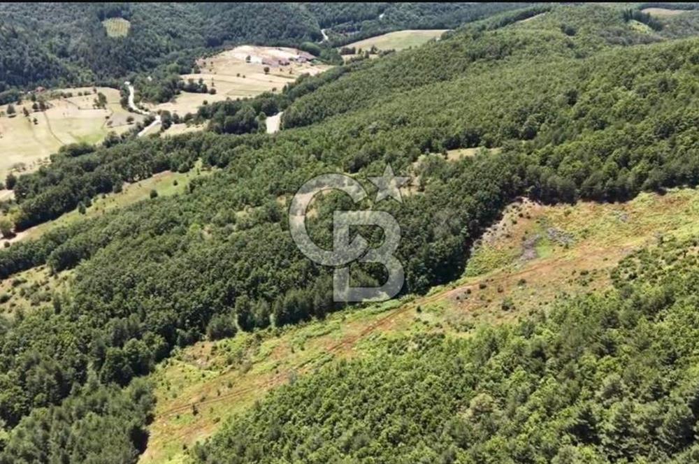 BURSA İZNİK ELMALIDA SATILIK TARLA