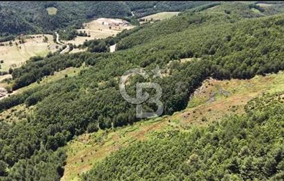 BURSA İZNİK ELMALIDA SATILIK TARLA