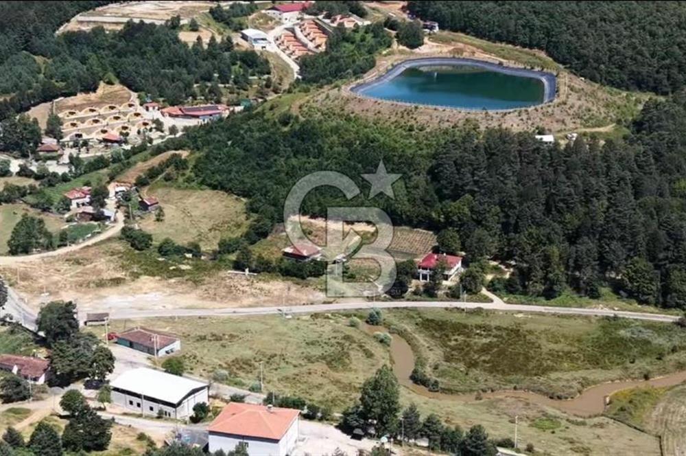 BURSA İZNİK ELMALIDA SATILIK TARLA
