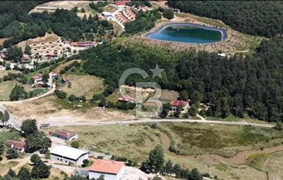 BURSA İZNİK ELMALIDA SATILIK TARLA