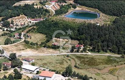 BURSA İZNİK ELMALIDA SATILIK TARLA