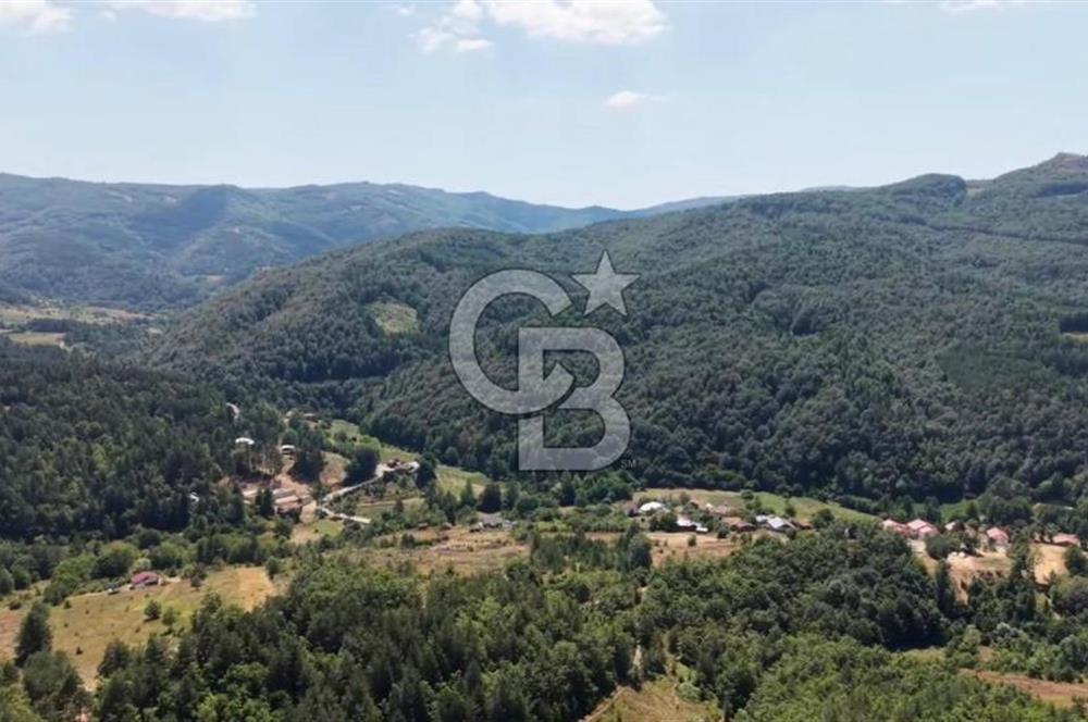 BURSA İZNİK ELMALIDA SATILIK TARLA