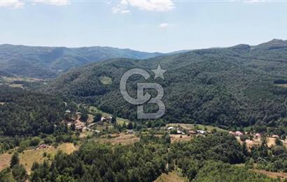 BURSA İZNİK ELMALIDA SATILIK TARLA