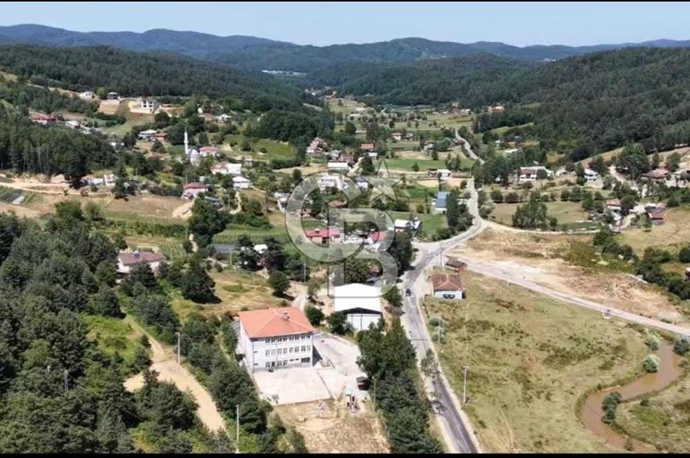 BURSA İZNİK ELMALIDA SATILIK TARLA