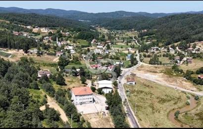 BURSA İZNİK ELMALIDA SATILIK TARLA