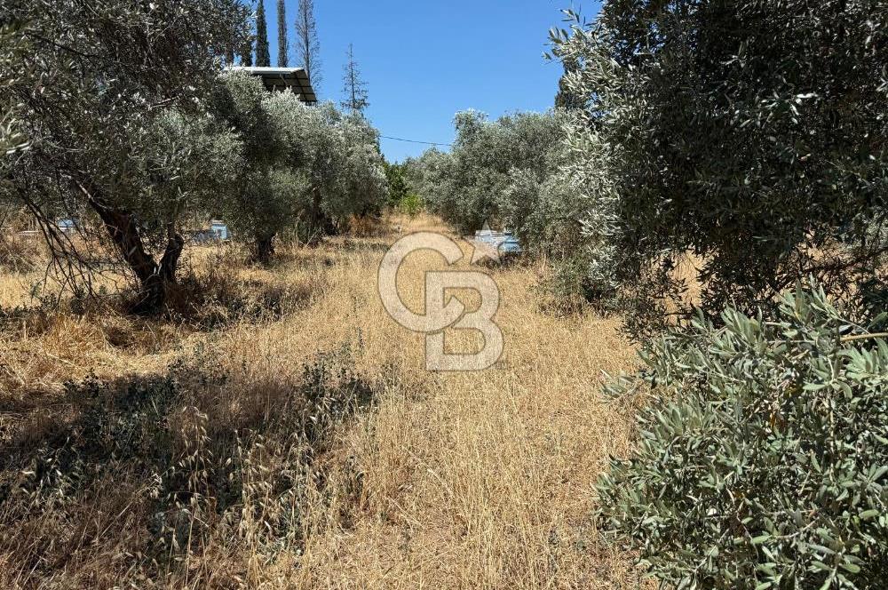 Kemalpaşa Örnekköy Mahallesinde Satılık İmarlı Arsa