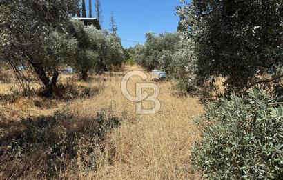 Kemalpaşa Örnekköy Mahallesinde Satılık İmarlı Arsa