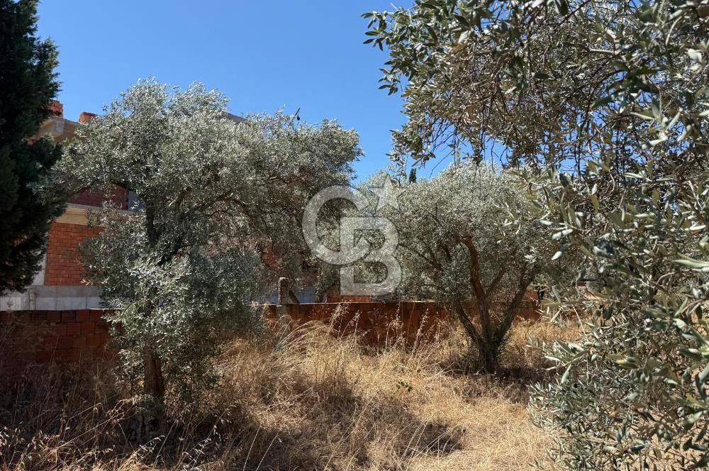 Kemalpaşa Örnekköy Mahallesinde Satılık İmarlı Arsa