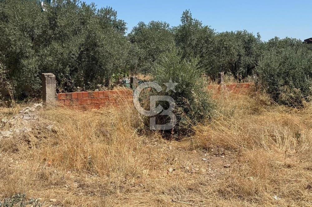 Kemalpaşa Örnekköy Mahallesinde Satılık İmarlı Arsa