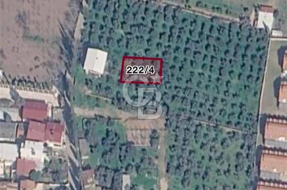 Kemalpaşa Örnekköy Mahallesinde Satılık İmarlı Arsa