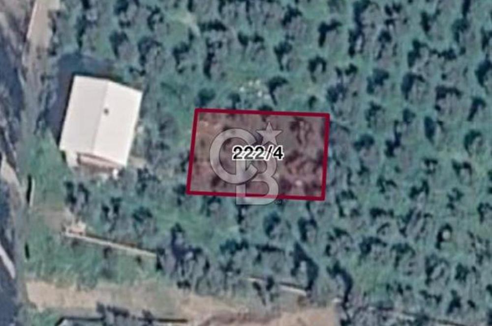 Kemalpaşa Örnekköy Mahallesinde Satılık İmarlı Arsa