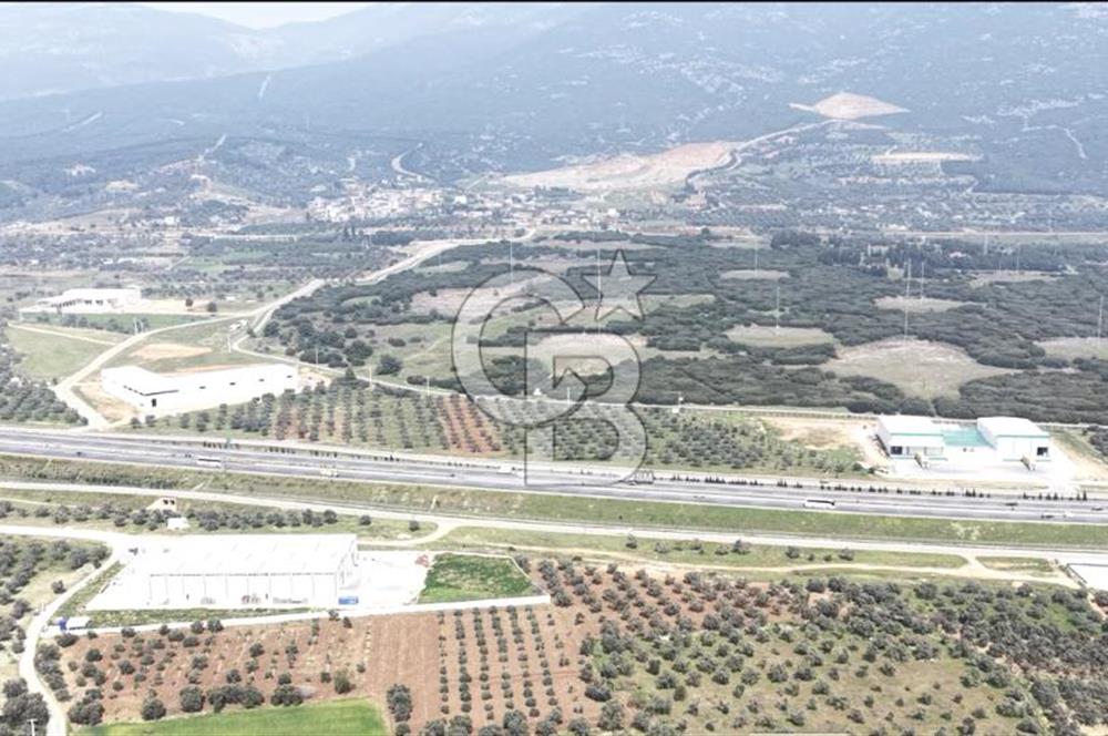 KEMALPAŞA SÜTÇÜLER'DE OTOYOLA CEPHELİ 12387 M2 SATILIK ARAZİ