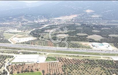 KEMALPAŞA SÜTÇÜLER'DE OTOYOLA CEPHELİ 12387 M2 SATILIK ARAZİ