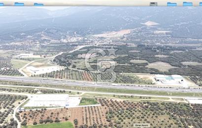 KEMALPAŞA SÜTÇÜLER'DE OTOYOLA CEPHELİ 12387 M2 SATILIK ARAZİ