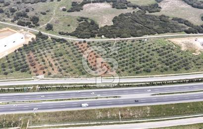 KEMALPAŞA SÜTÇÜLER'DE OTOYOLA CEPHELİ 12387 M2 SATILIK ARAZİ
