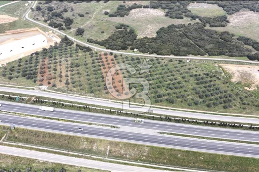 KEMALPAŞA SÜTÇÜLER'DE OTOYOLA CEPHELİ 12387 M2 SATILIK ARAZİ