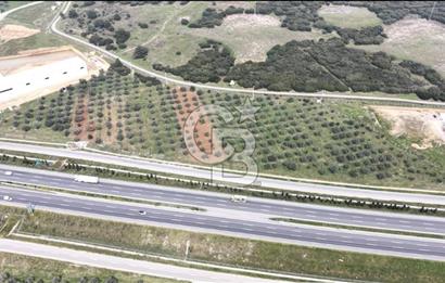 KEMALPAŞA SÜTÇÜLER'DE OTOYOLA CEPHELİ 12387 M2 SATILIK ARAZİ