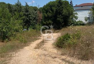 ŞEKERPINAR DA 162 M2 SATILIK ARSA - 1 - 362618
