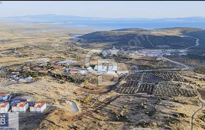 FOÇA YENİBAĞARASI KADASTRAL YOLA CEPHE 8236 M2 SATILIK TARLA!!