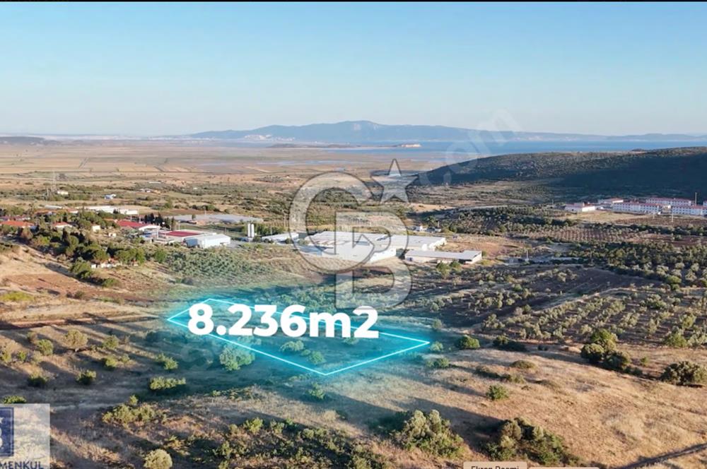 FOÇA YENİBAĞARASI KADASTRAL YOLA CEPHE 8236 M2 SATILIK TARLA!!