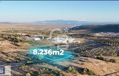 FOÇA YENİBAĞARASI KADASTRAL YOLA CEPHE 8236 M2 SATILIK TARLA!!
