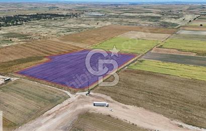SATILIK ERGENE ULAŞ BÖLGESİNDE 28.675 M² E:0.5 SANAYİ ARSASI