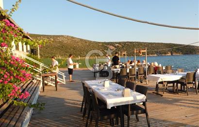 URLA İLTUR SİTESİN'DE 3+1 FIRSAT SATILIK VİLLA