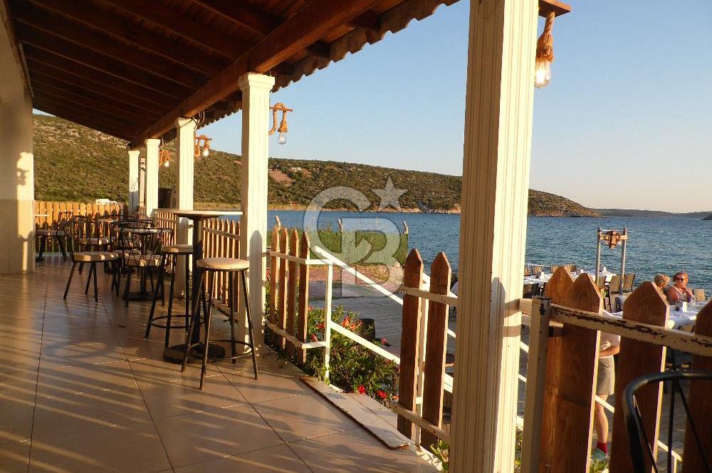 URLA İLTUR SİTESİN'DE 3+1 FIRSAT SATILIK VİLLA