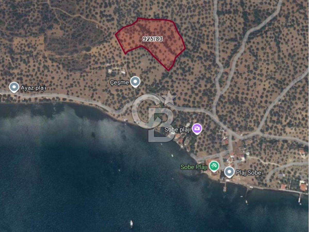 Cunda Adası Paterica Mevkiinde 9.262 m² Verimli Zeytinlik