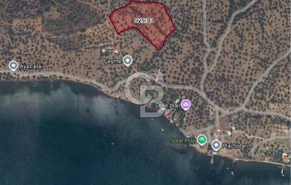 Cunda Adası Paterica Mevkiinde 9.262 m² Verimli Zeytinlik