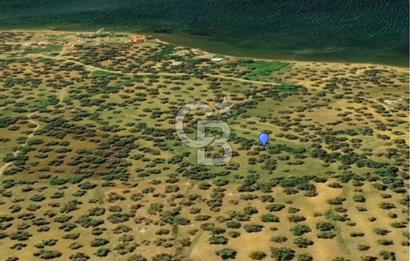 Cunda Adası Paterica Mevkiinde 9.262 m² Verimli Zeytinlik
