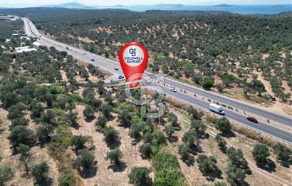 İzmir Yoluna Cepheli Köşe Konumda Satılık 1.880 m² Zeytinlik